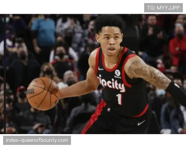 开拓者核心安芬尼·西蒙斯因脚踝扭伤预计缺席未来三场关键战役